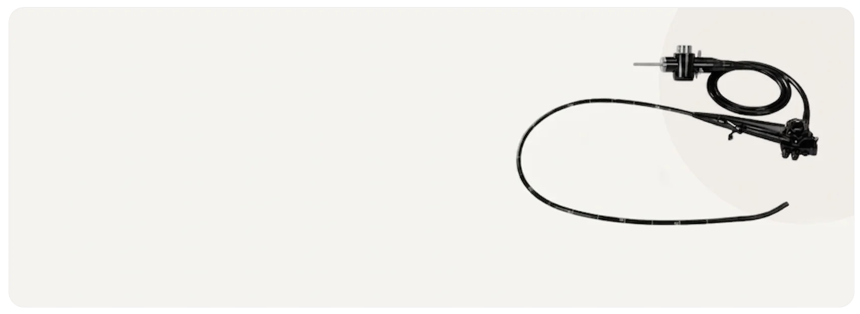 banner1